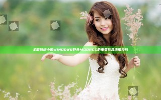 全面解析中国WINDOWS野外MGDRCC的重要性及应用技巧