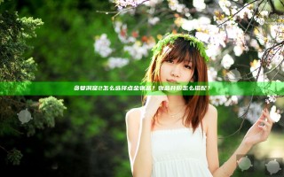 贪婪洞窟2怎么选择点金物品？物品升阶怎么搭配？