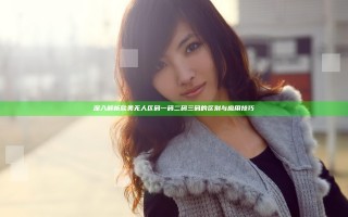 深入解析欧美无人区码一码二码三码的区别与应用技巧