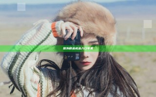 国外精品成品入口苹果