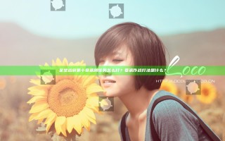 圣女战旗第十章派别任务怎么打？委派作战打法是什么？