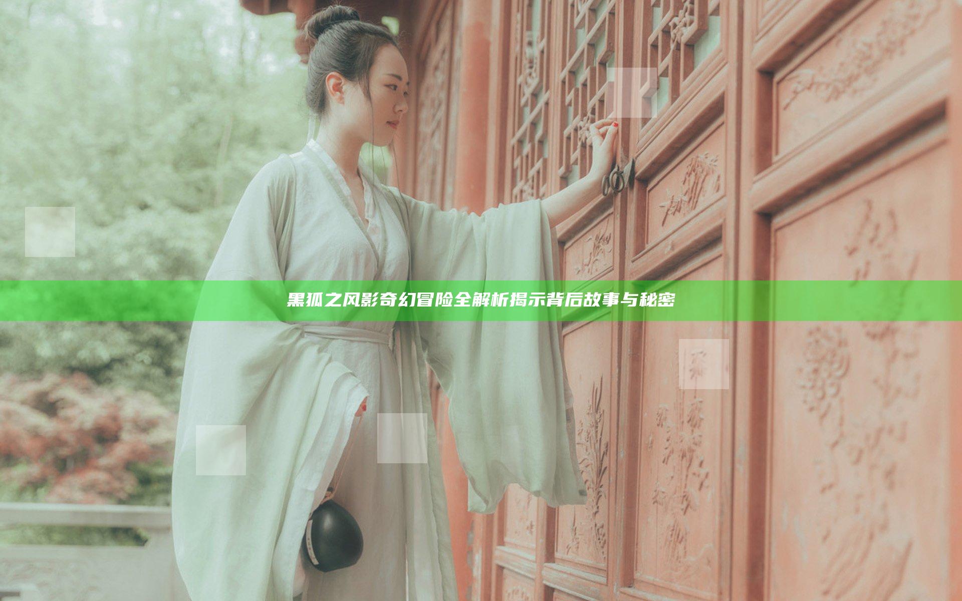 黑狐之风影奇幻冒险全解析揭示背后故事与秘密