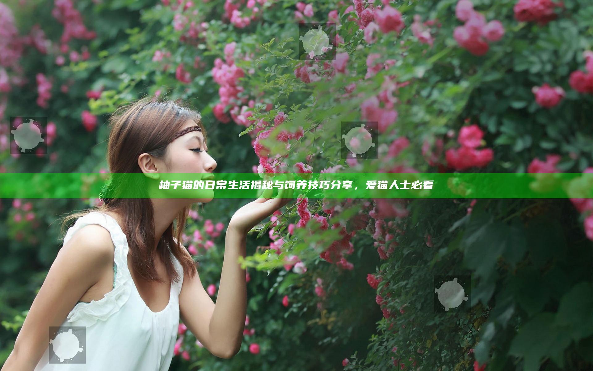 柚子猫的日常生活揭秘与饲养技巧分享，爱猫人士必看