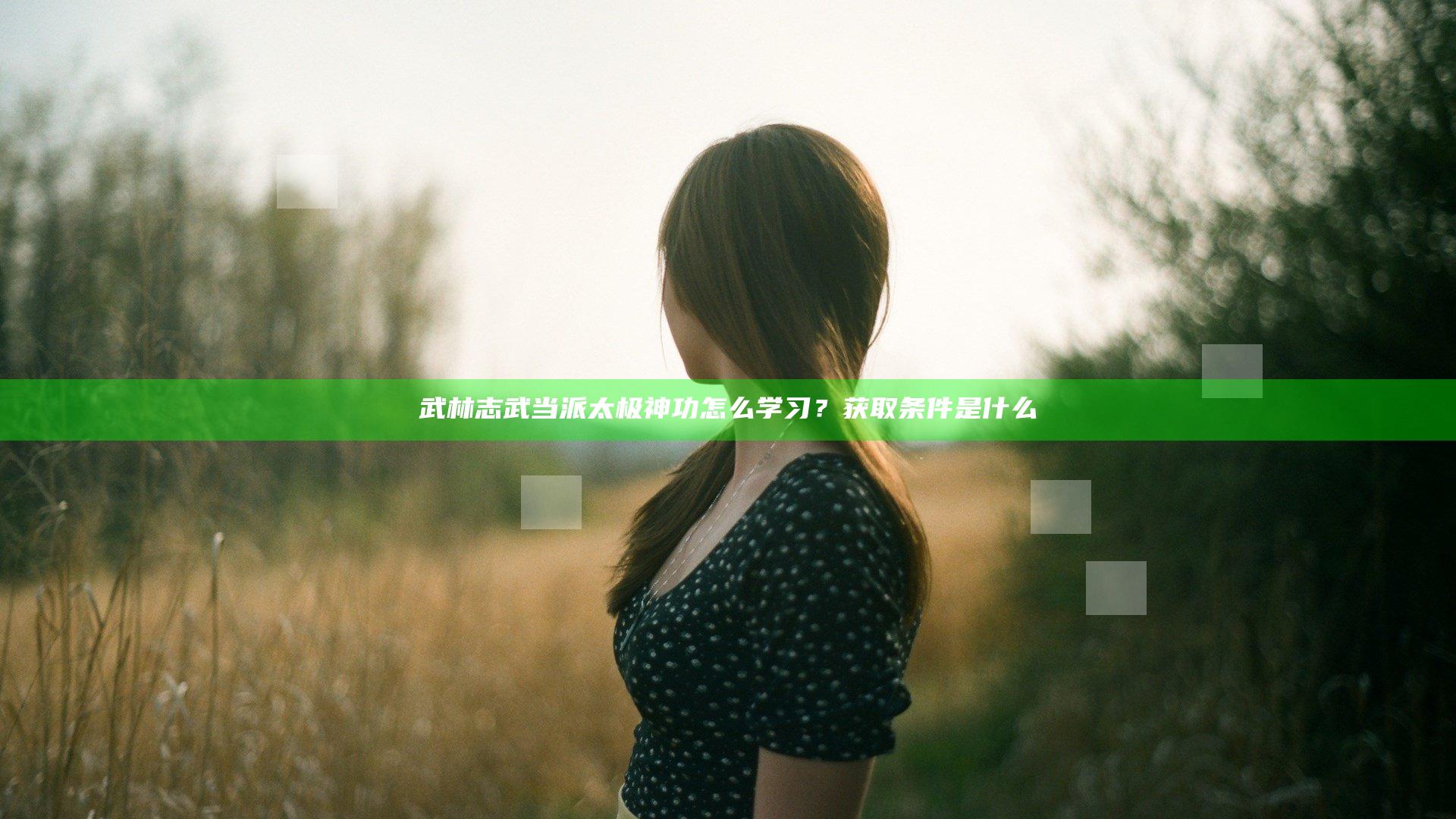 武林志武当派太极神功怎么学习？获取条件是什么