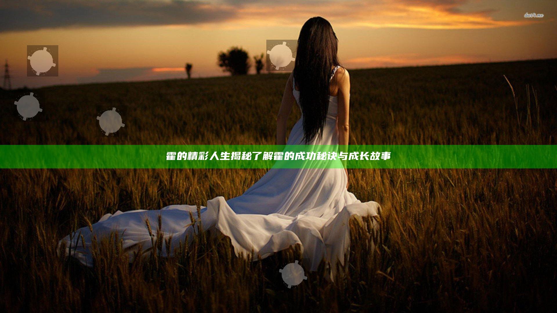 霍的精彩人生揭秘 了解霍的成功秘诀与成长故事